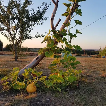 D'hote Cosy Avec Grand Salon, Proche Futuroscope, Cure Thermale, Wifi, Salle De Bain, Parking 3*