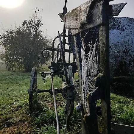 D'hote Cosy Avec Grand Salon, Proche Futuroscope, Cure Thermale, Wifi, Salle De Bain, Parking 3* Ла-Рош-Позе