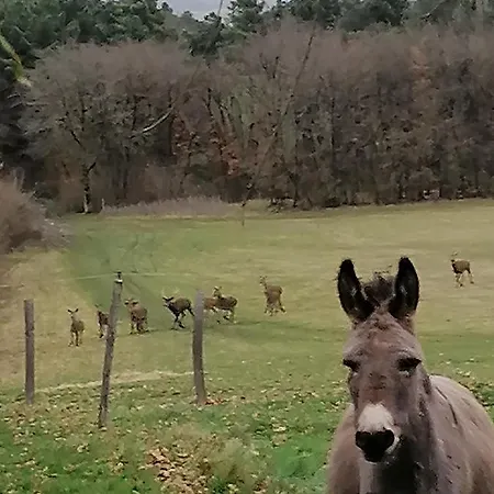 D'hote Cosy Avec Grand Salon, Proche Futuroscope, Cure Thermale, Wifi, Salle De Bain, Parking