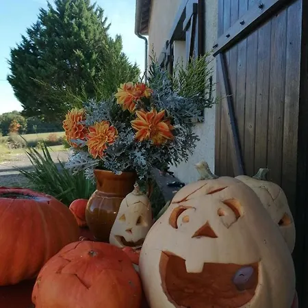 D'hote Cosy Avec Grand Salon, Proche Futuroscope, Cure Thermale, Wifi, Salle De Bain, Parking Гостевой дом Ла-Рош-Позе