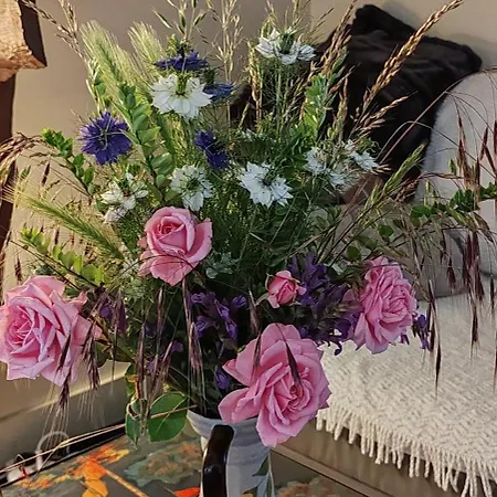 D'hote Cosy Avec Grand Salon, Proche Futuroscope, Cure Thermale, Wifi, Salle De Bain, Parking