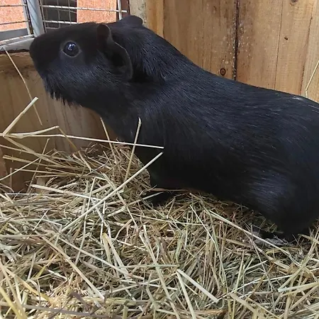 D'hote Cosy Avec Grand Salon, Proche Futuroscope, Cure Thermale, Wifi, Salle De Bain, Parking 3*