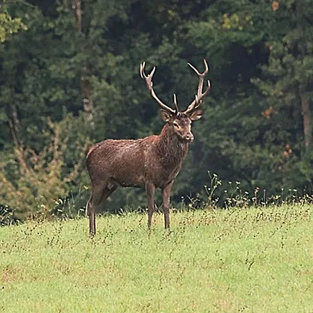 D'hote Cosy Avec Grand Salon, Proche Futuroscope, Cure Thermale, Wifi, Salle De Bain, Parking