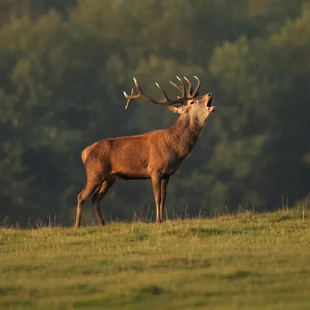 D'hote Cosy Avec Grand Salon, Proche Futuroscope, Cure Thermale, Wifi, Salle De Bain, Parking Guest house