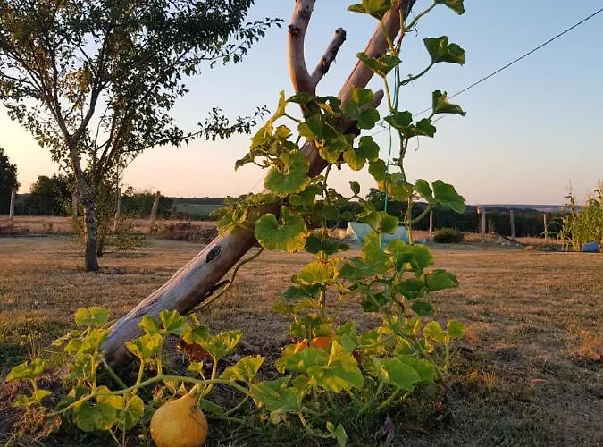 D'hote Cosy Avec Grand Salon, Proche Futuroscope, Cure Thermale, Wifi, Salle De Bain, Parking 3*