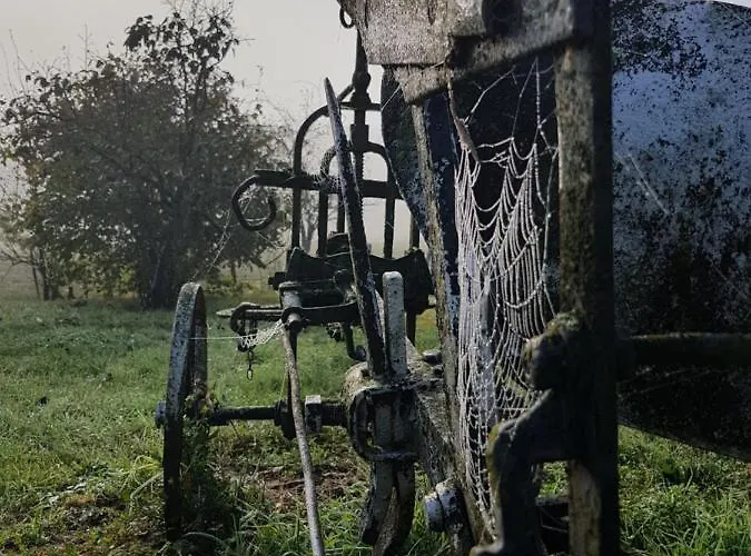 D'hote Cosy Avec Grand Salon, Proche Futuroscope, Cure Thermale, Wifi, Salle De Bain, Parking 3* La Roche-Posay