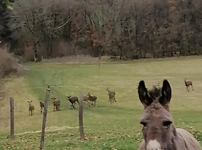 D'hote Cosy Avec Grand Salon, Proche Futuroscope, Cure Thermale, Wifi, Salle De Bain, Parking