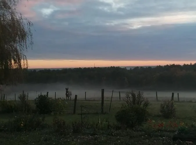 D'hote Cosy Avec Grand Salon, Proche Futuroscope, Cure Thermale, Wifi, Salle De Bain, Parking