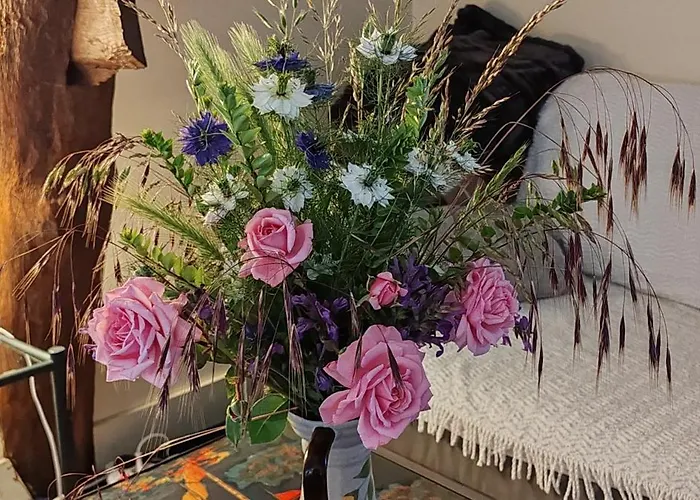 D'hote Cosy Avec Grand Salon, Proche Futuroscope, Cure Thermale, Wifi, Salle De Bain, Parking