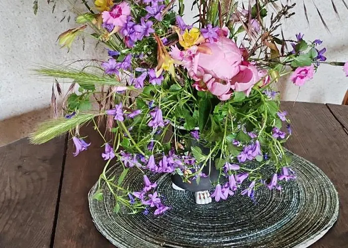 D'hote Cosy Avec Grand Salon, Proche Futuroscope, Cure Thermale, Wifi, Salle De Bain, Parking Guest house