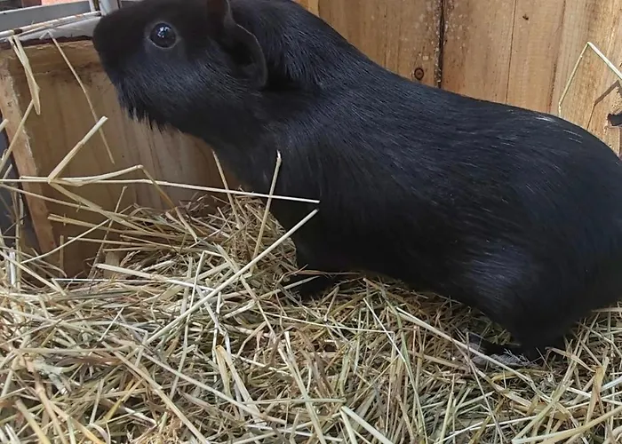 D'hote Cosy Avec Grand Salon, Proche Futuroscope, Cure Thermale, Wifi, Salle De Bain, Parking 3*