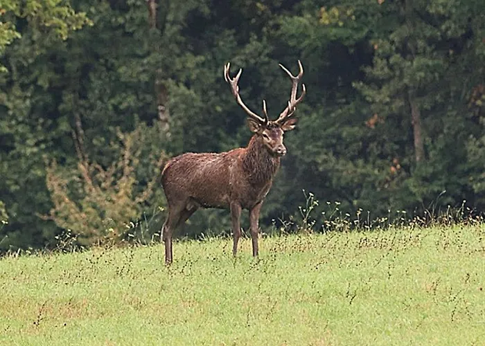 D'hote Cosy Avec Grand Salon, Proche Futuroscope, Cure Thermale, Wifi, Salle De Bain, Parking